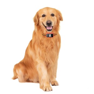 Geo-<span class=keywords><strong>Fence</strong></span> <span class=keywords><strong>Dog</strong></span> GPS Tracker Acampar al aire libre Caza Mascota Dispositivo antipérdida 4G WIFI Pet <span class=keywords><strong>Dog</strong></span> Cat Tracking Collar - Product Image 2