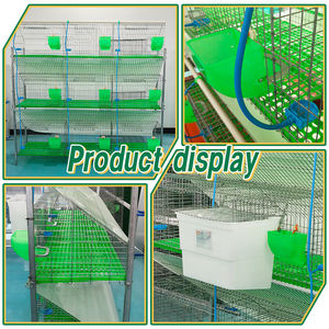 3 Laag <span class=keywords><strong>9</strong></span> Cellen Konijnenfokkooi Thermisch Gegalvaniseerd Meer dan 7 Jaar Levensduur Konijnenkooi - Product Image 4