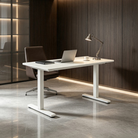 Nouveau cadre de bureau électrique ergonomique à double moteur, 3 sections, réglable en hauteur, charge maximale 100 kg, pour ordinateur