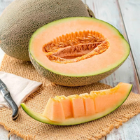 Hami Melon Poudre Essence De Qualité Alimentaire Biopharmaceutique Solide Boisson Hami Melon Saveur Essence