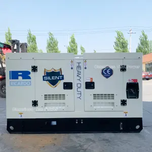 Generatore diesel silenzioso generatore 180kva weifang Ricardo 150kw prezzo su vendita calda