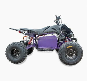Nuevo ATV Eléctrico Chino con Batería de Litio de 4000W 72V, 85km/h, Frenos de Disco Hidráulicos Delanteros y Traseros, ODM - Product Image 2