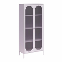 Lemari Samping Besi Grosir dengan Pintu Kaca, 2 Pintu, Unit Penyimpanan Logam, Unit Pajangan, Supplier Pabrik, OEM/ODM