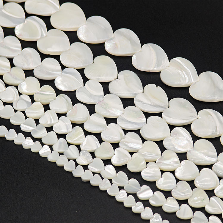Natural White Shell Bone Coral 12mm