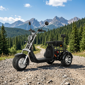 Citycoco Stock <span class=keywords><strong>Europe</strong></span> Entrepôt <span class=keywords><strong>Moto</strong></span> Électrique 2000W Scooter Électrique Motos Électriques pour Adultes - Product Image 1