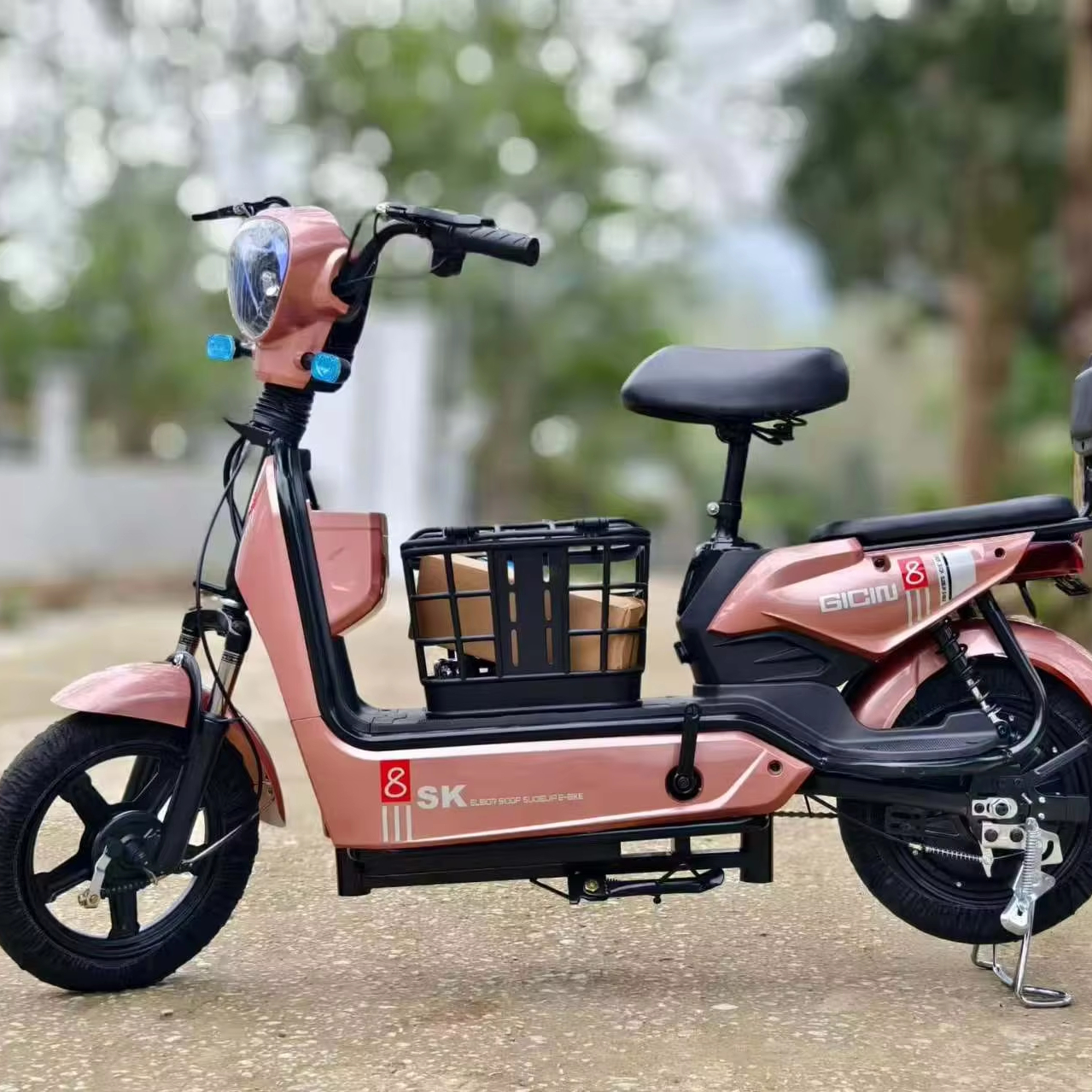 Xiongying Electric Bike CO High Performance E-Bikes