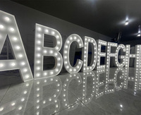 Grandes enseignes lumineuses LED personnalisées alimentées en courant continu pour la publicité, la décoration extérieure de la maison, la décoration de la place