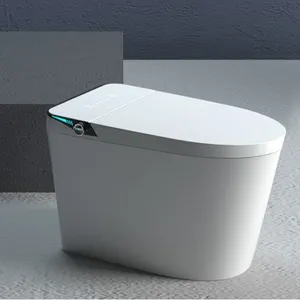 现代各种电子自动陶瓷坐便器碗智能浴室WC一体式智能坐便器带恒温座