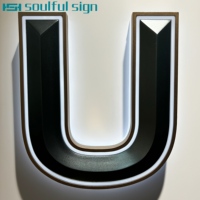 Installation DIY Super Facile, Lettres en Aluminium avec Éclairage LED 3D, Lettres Personnalisées, Décoration Professionnelle