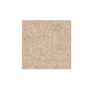 Carreaux de sol extérieurs en porcelaine à double charge 600x600mm, design rustique, texture fleurs et plantes, antibactériens, antidérapants, Gujarat - Product Image 1