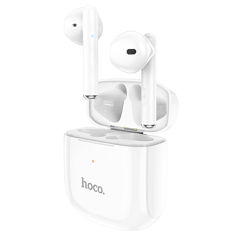 HOCO EW19 True Wireless Earbuds