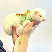 Ensemble Harnais et Laisse Réglables pour Hamsters et Chinchillas – Mignon, Durable et Écologique – Vente en Gros