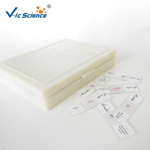 Vetrini per Microscopia dell'Istologia Dentale Umana, Quattro Fasi dello Sviluppo del Dente su Vetro, Vetrini Preparati per Parti della Bocca - Product Image 3