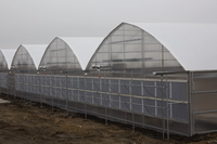Multi-Span Boog Rond Polycarbonaat Kas Agrarische Commerciële Groene Huis Polycarbonaat Tuinkas Leverancier