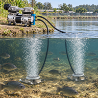 Kit Compresseur Pompe d'Aération à Piston Oscillant Sans Huile 220W Silencieux 70LPM pour Étang à Poissons ou Lac à Koi jusqu'à 1 Acre