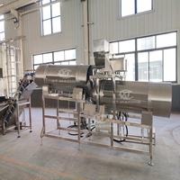 Ligne de machines de friture automatique pour arachides et noix de cajou, haute efficacité, goût uniforme pour la production de snacks à base de noix