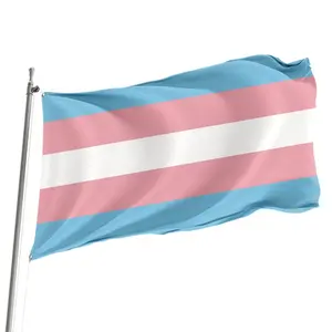 Bendera Kebanggaan Transgender Kain Poliester 3x5 Kaki Genggam Luar Ruangan Promosi