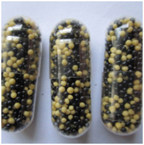High Quality Ferrous Bisglycinate Sustained Release Capsule