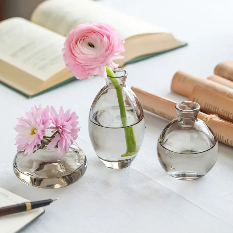 Minimalist ve yaratıcı cam vazo Instagram tarzı oturma odası masa dekorasyon süsler