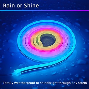 16.4ft ngoài trời không thấm nước rgbic linh hoạt Led dây dải đèn 24V năng động Neon màu Kit USB đồng cho cảnh quan cuttable - Product Image 6