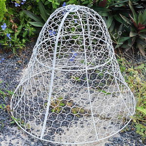 Couverture de protection pour plantes en fil de fer, 41x41x32,5 cm, cage en filet de protection blanche pour plantes de jardin, prévention des animaux, facile à assembler - Product Image 5