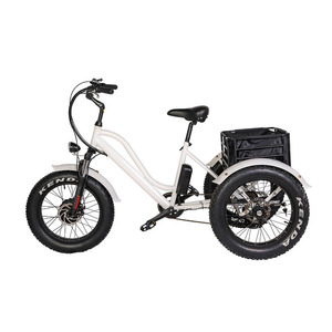 Newspeed-triciclo eléctrico de 3 ruedas para nieve, neumático ancho, 500W/1000W, 26 pulgadas, barato - Product Image 4