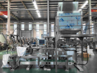 AT-DGS-25F Otomatik Toz Paketleme Makinesi 5-25kg Un Nişasta Kimyasal Tartım Dolum Kapama Vidalı Konveyör PLC'li