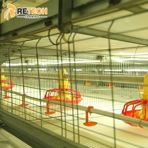 Asequible 7-10 años de vida 4 niveles pollo comercial casa para Uganda granja avícola venta - Product Image 1