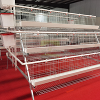 Cage à poulets de type A en acier Q235 galvanisé à chaud à 3 niveaux et 5 portes avec abreuvoirs, longue durée de vie pour élevages avicoles