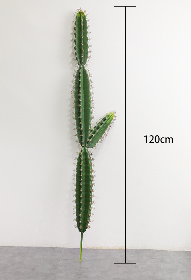 120 cm