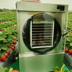 Mini lyophilisateur pour débutants, petite machine de conservation alimentaire domestique, facile à utiliser, lyophilisateur de table - Product Image 5