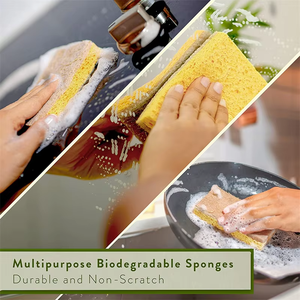 Esponja ecológica de fábrica, depurador de celulosa y nueces de coco, esponjas de limpieza de cocina - Product Image 5