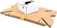 Recycler personnalisé imprimer votre logo boîte de fleuriste forte carton livraison de fleurs vase emballage coffrets cadeaux pour les plantes