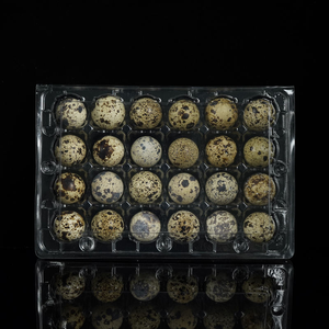 Shengyiyuan 18 20 24 30 Holes Clear Disposable Clamshell Plastic Packaging <strong>Quail</strong> <strong>Egg</strong> Trays - Product Image 1
