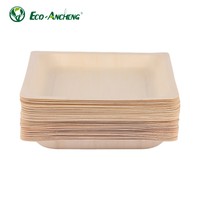 Assiettes carrées jetables en bouleau de 9 pouces, modernes, écologiques, compatibles lave-vaisselle, vaisselle de camping, emballage personnalisé OEM pour les détaillants