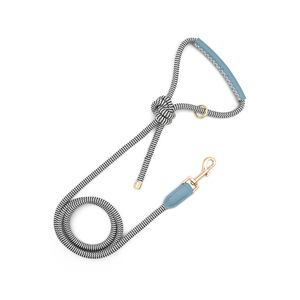 Ensemble collier et laisse pour <span class=keywords><strong>chien</strong></span> <span class=keywords><strong>BioThane</strong></span>, cuir végétalien, imperméable, inodore, durable et résistant pour grands chiens - Product Image 4