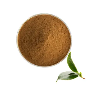Supply Wholesale Bulk Natural Health Green Tea Extract 98% Tea Polyphenols TP