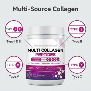 Poudre de peptides de collagène multi-sources en gros, marque privée, protéines de collagène hydrolysées types I, II, III, V, X, sans sucre, 350g en vrac - Product Image 2