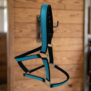 Adjustable Double Stitched Nylon Horse <b>Halter</b> in many colors and sizes with stainless steel nickel hardware <b>halter</b> horse - Product Image 1