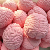 Jouet Squishy Cérébral Rose Réaliste, Jouet à Presser en TPR Nouveauté pour Soulager le Stress, Cadeau Sensoriel Unique pour Fêtes et Bureau