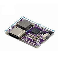 Convertisseur élévateur de tension USB Type-C 5V 3.1A Module d'alimentation IP5310 Accessoires de banque d'alimentation mobile avec interrupteur Indicateur LED Type-C