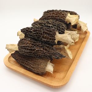 Champignon de morche de haute qualité, frais, <span class=keywords><strong>prix</strong></span> de gros - Product Image 4