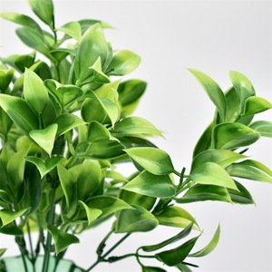 Ruyin Ramo de Hojas Artificiales de Naranjo, Plástico Verde, 10cm-30cm, Decoración Verde - Product Image 4