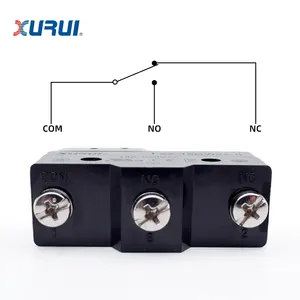XURUI 15A 250V AC микро-кнопочный переключатель для бытовой техники