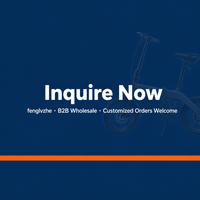 Tricycle électrique pour adultes, moteur sans balais, cadre en acier haute teneur en carbone, batterie 60V 1500Wh, 3 roues, freins à disque, 60 km d'autonomie