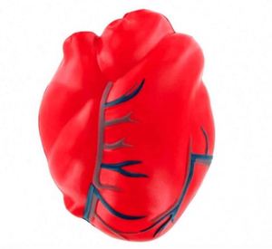 Pelota Antiestrés de Juguete Suave con Forma de Corazón y Pulmón Humano con Logotipo Personalizado - Product Image 1