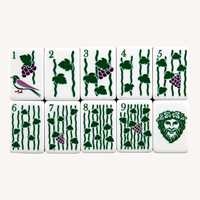 Set Mahjong Amerika Motif Anggur Kustom 160 Ubin Akrilik dengan Joker untuk Hadiah Pecinta Anggur
