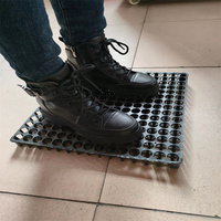 30mm HDPE feuille de plastique fossette plaque de vidange sous-sol pavage panneau de cellules pour toit jardin Geo Sythetics terrassement meilleur prix