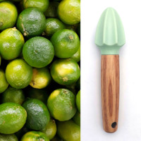 Outil manuel pour jus de citron vert et citron Presse-agrumes à main avec manche en bois