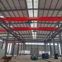 Grue monopoutre électrique LDA Marque Wanlong Shandong avec moteur, capacité de levage 16T, hauteur maximale 30m, portée 10,5m, puissance 9KW